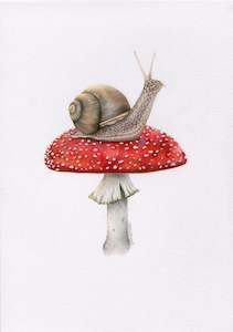 Original Coloured Pencil Art: Original 'Snail on Mushroom'