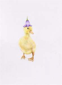 Original Coloured Pencil Art: Original 'Duckling with Flower Hat'