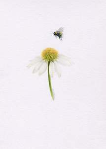 Mini one-off original 'Echinacea and Bee'