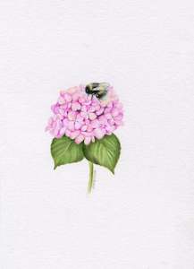 Mini one-off original 'Hydrangea and Bee'