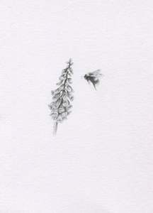 Mini One Off Originals: Mini one-off original 'Fox Glove and Bee'