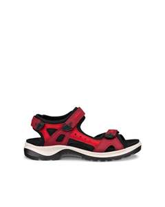 Ecco: OFFROAD-ECCO