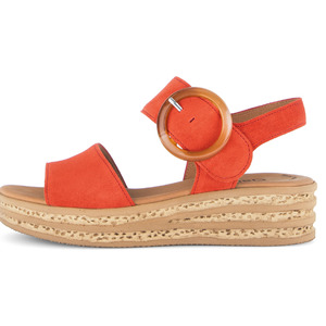 Wedges: PALOMA-GABOR