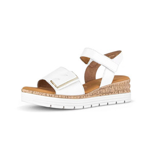 Wedges: SOFIA-GABOR