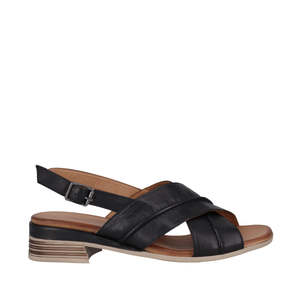 New Arrivals: ANYA-CABELLO