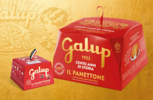 Panettone: Galup traditional panettone 500g Available in 2 weeks