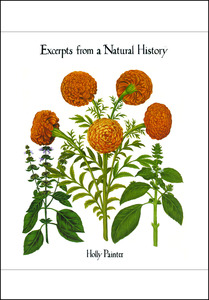Products: Excerpts from a Natural History by Holly Painter - Atuanui Press