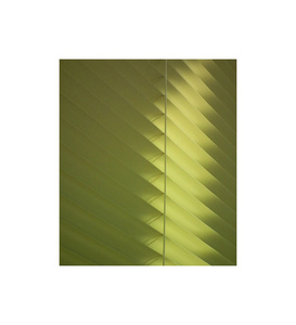 Products: Green Shutters