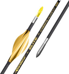 Pandarus - ELITE XT parallel shaped CAC structure arrows