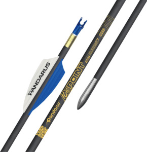 Arrows: PANDARUS - ICE Point Arrows 0.001 Straightness Gold Label