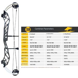 Compound Bow: Pandarus cambrian 38" Compound Bow