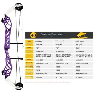 Pandarus Cambrian 40" Compound Bow
