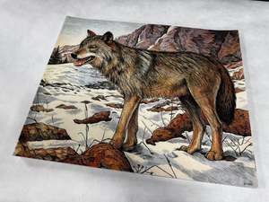 Animal target face (Non-woven fabric & Kraft paper) - Wolf