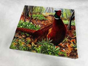 Target: Animal target face (Non-woven fabric & Kraft paper) - Pheasant