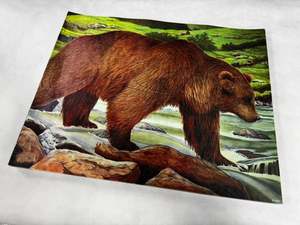 Target: Animal target face (Non-woven fabric & Kraft paper) - Bear