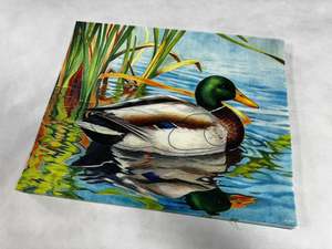 Target: Animal target face (Non-woven fabric & Kraft paper) - Duck