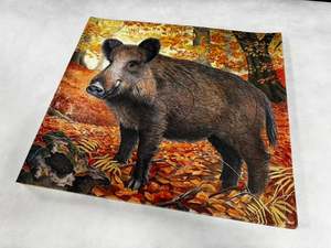 Animal target face (Non-woven fabric & Kraft paper) - Wild Boar