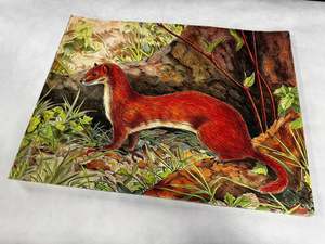 Target: Animal target face (Non-woven fabric & Kraft paper) - Ermine