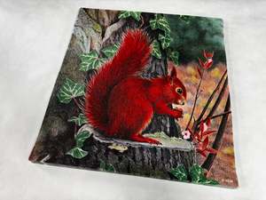 Animal target face (Non-woven fabric & Kraft paper) - Squirrel