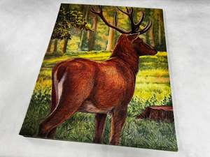 Target: Animal target face (Non-woven fabric & Kraft paper) - Deer from the back