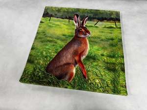 Animal target face (Non-woven fabric & Kraft paper) - Rabbit