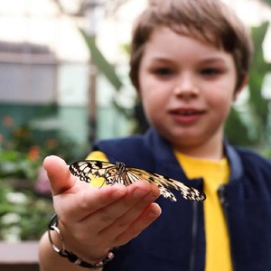 Products: Tropical Holiday Entertainment at Butterfly Creek