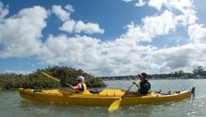 Products: Waiwerea Kayak Day