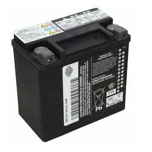 H D Batteries: 66000206b Harley KIT BATTERY 12 AH 66000206b