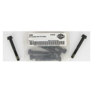 Harley SCREW HEX FLANGE LOCK 1039