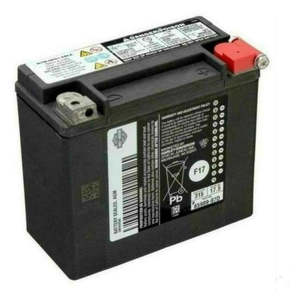 66000483 Harley Sportster - Dyna - Vrod OEM Genuine HD Battery 66000207B 65989-97E 66000483