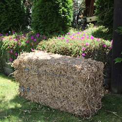 Pea Straw: Waiheke Island Residents - Pea Straw Bale Incl Delivery