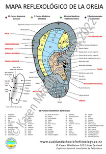 Products: Spanish Ear Reflexology Chart ASoR