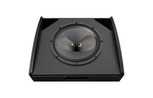 Martin 15" Two way Bi amp / Passive Coaxial Stage Monitor