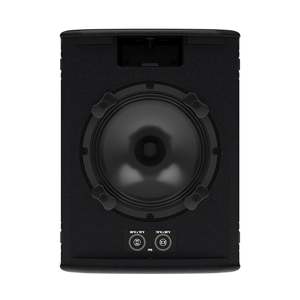 Martin 8" Passive 2 way FlexPoint enclosure