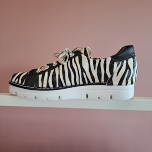 Shoes: Jose Saenz For Neo - Zebra Favourite Sneakers - Size 41/10