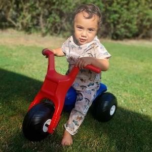 Short Sleeve Shirts - Animals