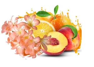 Beautyquip: Orange & Peach Blossom Fragrance Oil