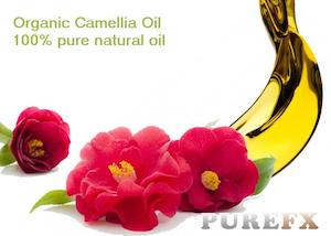 Carrier Oils: Camellia Oil Organic