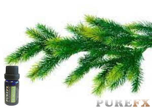 Essential Oils: Fir Needle Essential Oil