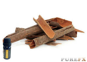 Essential Oils: Cassia Essential Oil
