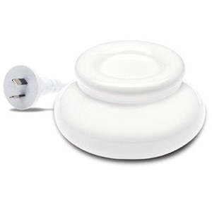 Essential Oils: Clove Bud Essential oil