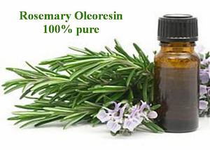 Raw Materials: Rosemary Oleoresin