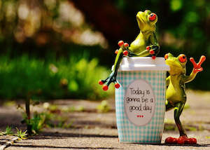 Essential Oil Synergy Blends: Good Life Essential Oil Blend