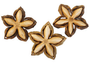 Infused Oils Healing Oils: Sacha Inchi Oil