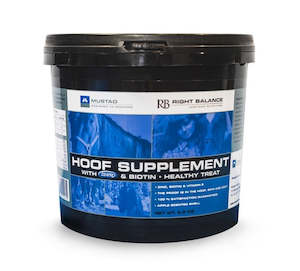 Right Balance 2.5 Kg