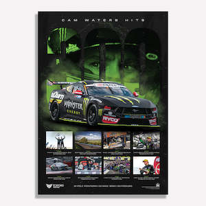 Ford: Tickford Racing - Cam Waters 300 Races Limited Edition Print