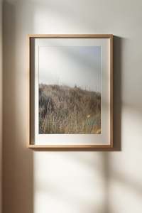 Wall Art: In the Sand Dune