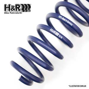 H&R DODGE CHALLENGER/CHARGER LOW SPRING SET