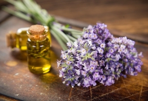 Products: Flower Essences 30ml - Aviva Health