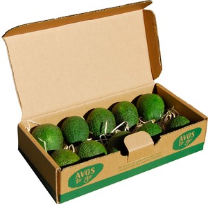 Products: Avos Mid-Sized – 10 Pack